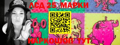 индика Можга