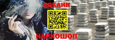 индика Можга