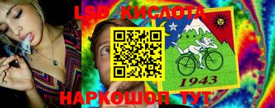 индика Можга