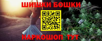 индика Можга