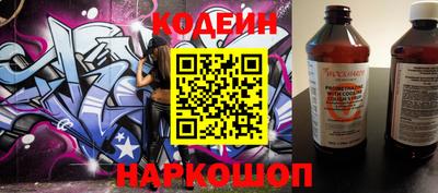 индика Можга
