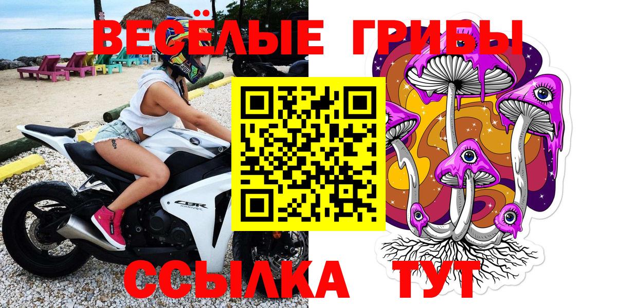 Псилоцибиновые грибы Psilocybine cubensis Чайковский